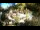 Webcam in Rzyki, 11.8 km entfernt