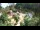 Webcam in Rzyki, 48.3 km