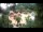Webcam in Rzyki, 11.8 km