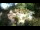 Webcam in Rzyki, 22.5 mi away