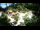 Webcam in Rzyki, 19 mi away