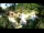 Webcam in Rzyki, 19 mi away