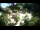 Webcam in Rzyki, 21 km entfernt