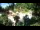 Webcam in Rzyki, 48.8 km