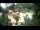 Webcam in Rzyki, 48.8 km