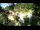 Webcam in Rzyki, 11.8 km