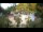Webcam in Rzyki, 49.1 km