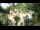 Webcam in Rzyki, 15.4 mi away
