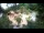 Webcam in Rzyki, 39.9 km
