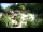 Webcam in Rzyki, 49.1 km