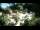 Webcam in Rzyki, 22.5 mi away