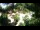 Webcam in Rzyki, 22.5 mi away