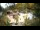Webcam in Rzyki, 54.3 km entfernt