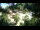 Webcam in Rzyki, 19.6 km