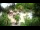 Webcam in Rzyki, 34 km