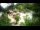 Webcam in Rzyki, 34 km