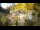 Webcam in Rzyki, 58.2 km
