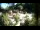 Webcam in Rzyki, 22.5 mi away
