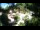 Webcam in Rzyki, 22.5 mi away