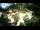 Webcam in Rzyki, 49.1 km