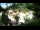 Webcam in Rzyki, 49.1 km