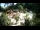 Webcam in Rzyki, 41.2 km
