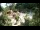 Webcam in Rzyki, 54.3 km