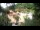 Webcam in Rzyki, 39.4 km
