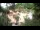 Webcam in Rzyki, 41.2 km