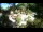 Webcam in Rzyki, 58.2 km