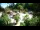 Webcam in Rzyki, 22.5 mi away