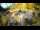 Webcam in Rzyki, 39.9 km entfernt