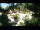 Webcam in Rzyki, 22.5 mi away