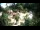 Webcam in Rzyki, 48.8 km