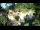 Webcam in Rzyki, 41.2 km