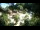 Webcam in Rzyki, 22.5 mi away