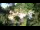 Webcam in Rzyki, 22.5 mi away