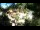 Webcam in Rzyki, 49.1 km