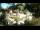 Webcam in Rzyki, 19.6 km