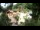 Webcam in Rzyki, 12.5 km
