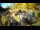 Webcam in Rzyki, 49.1 km