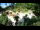 Webcam in Rzyki, 41.2 km