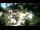 Webcam in Rzyki, 39.9 km