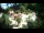 Webcam in Rzyki, 39.9 km