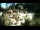 Webcam in Rzyki, 21 km
