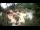 Webcam in Rzyki, 49 km