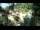 Webcam in Rzyki, 22.5 mi away