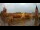 Webcam in Krakau (Krakow), 48.9 km entfernt