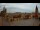 Webcam in Krakow, 26.6 mi away