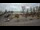 Webcam in Rewal, 19 km